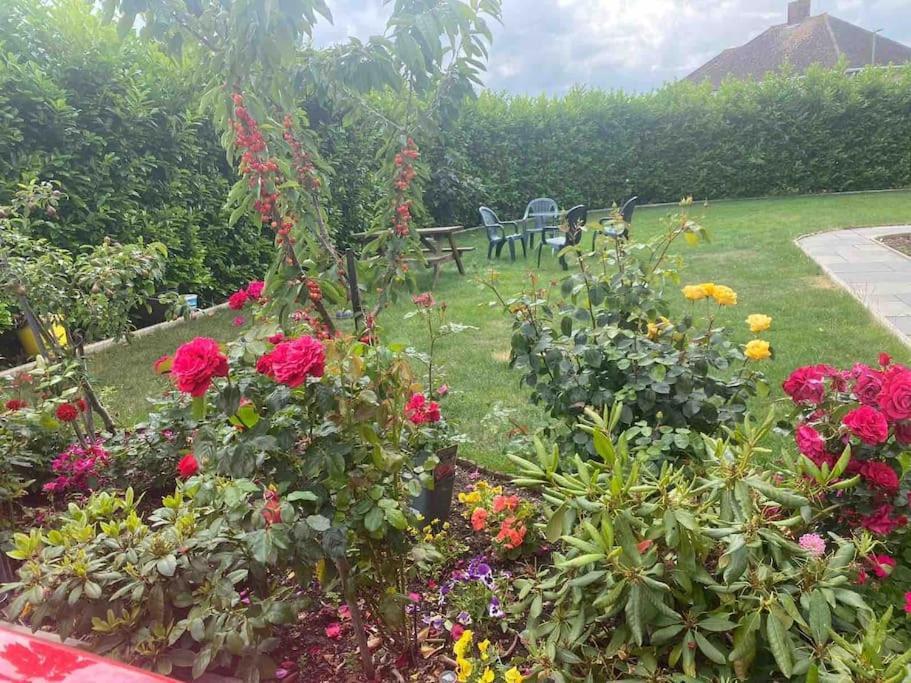 Lovely 1 Bed Studio Apartment With Free Parking Oxford Eksteriør bilde
